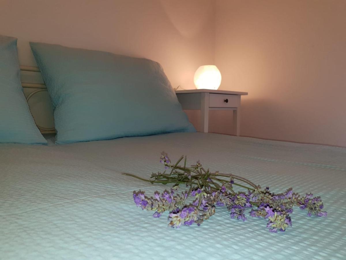 Jaca Apartment *